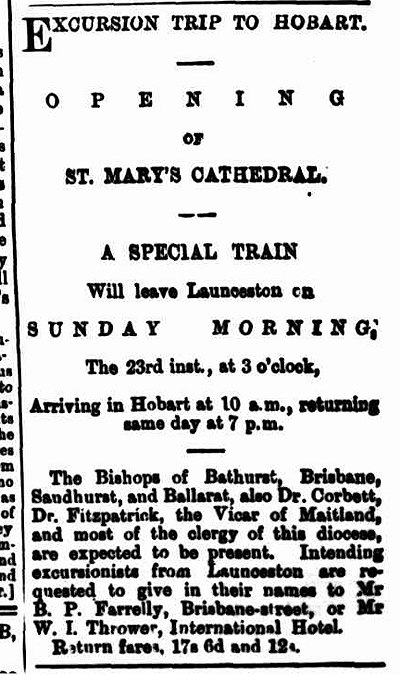 Launceston Examiner 20 January 1881