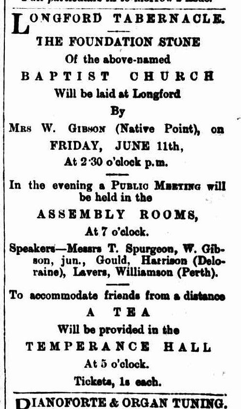 Launceston Examiner, 9 June 1880