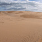 The Shifting Sands of Forvie